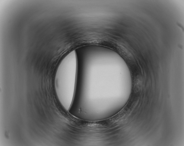 X0000097290268200802151105