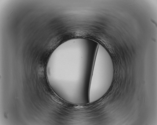 X0000097290269200802151105