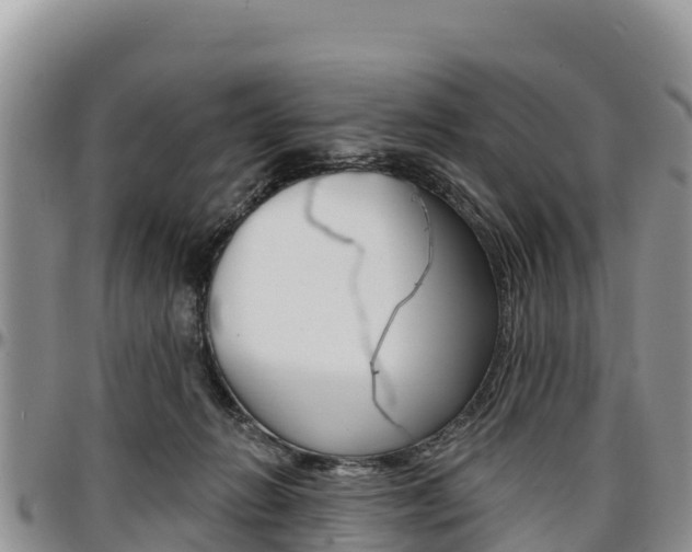 X0000097290270200802151105