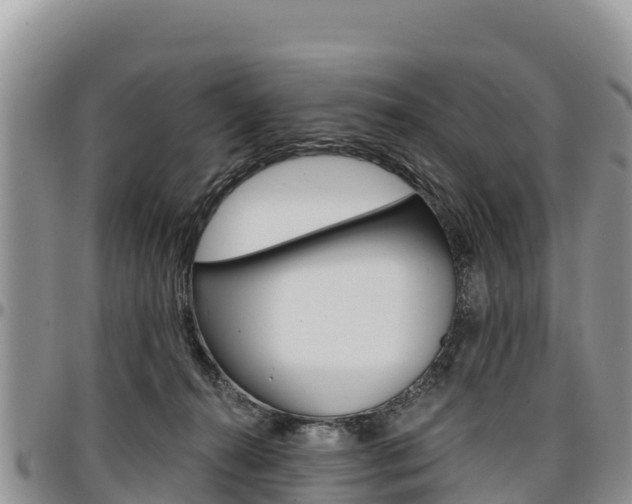 X0000097290272200802151105