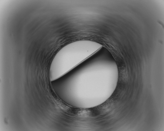 X0000097290274200802151105