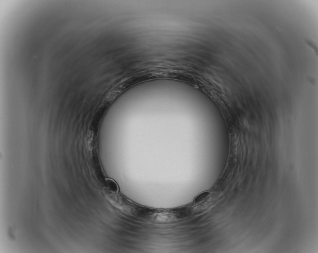 X0000097290275200802151105