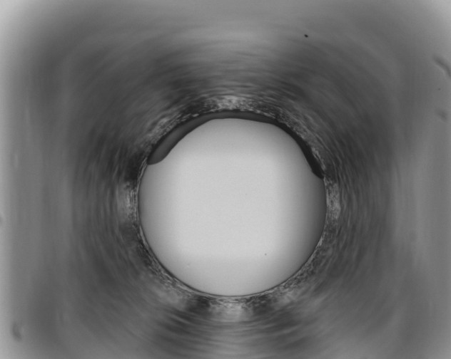 X0000097290276200802151105