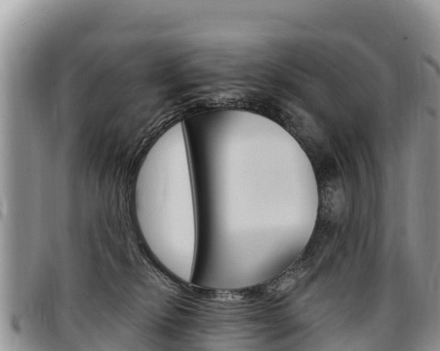 X0000097290278200802151105
