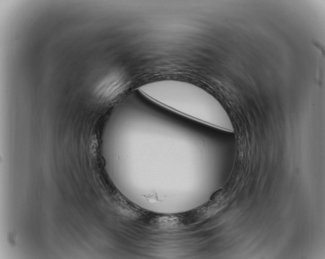 X0000097290279200802151105