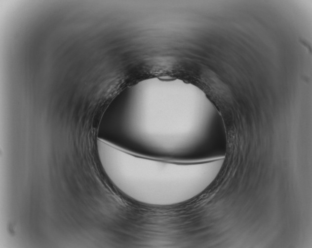 X0000097290280200802151105