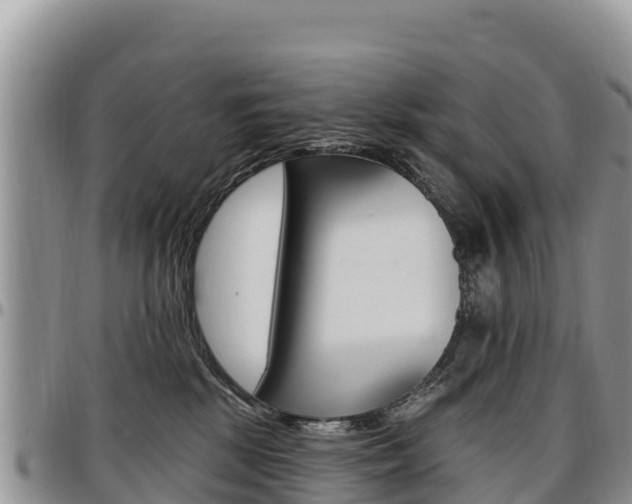 X0000097290281200802151105