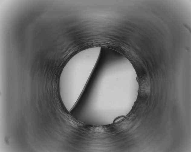 X0000097290282200802151106
