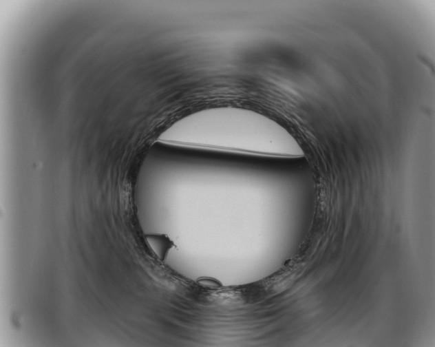 X0000097290283200802151106
