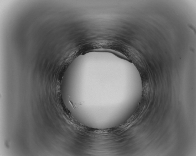 X0000097290284200802151106