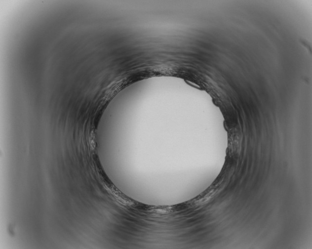 X0000097290285200802151106