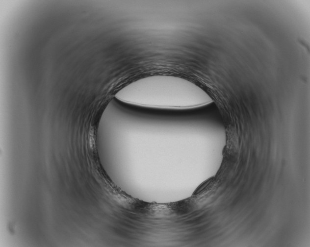 X0000097290287200802151106