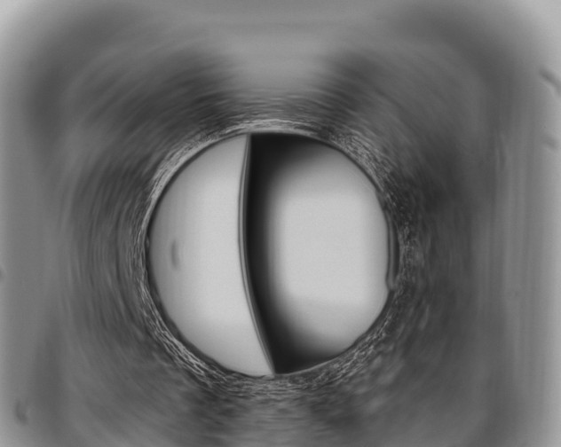 X0000097290289200802151105