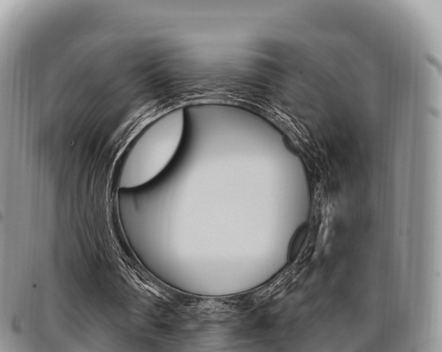 X0000097290290200802151105
