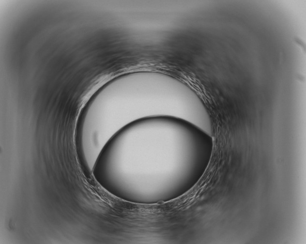 X0000097290292200802151105