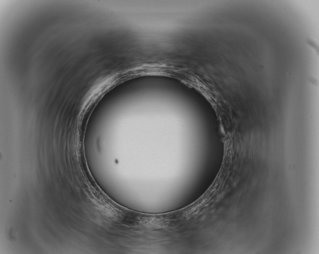X0000097290293200802151105