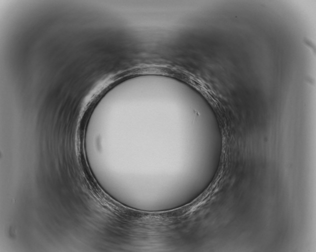 X0000097290294200802151105