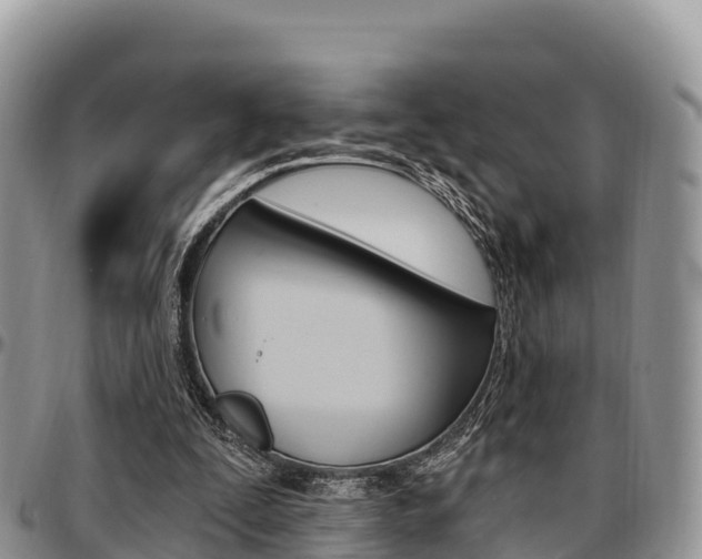 X0000097290295200802151105