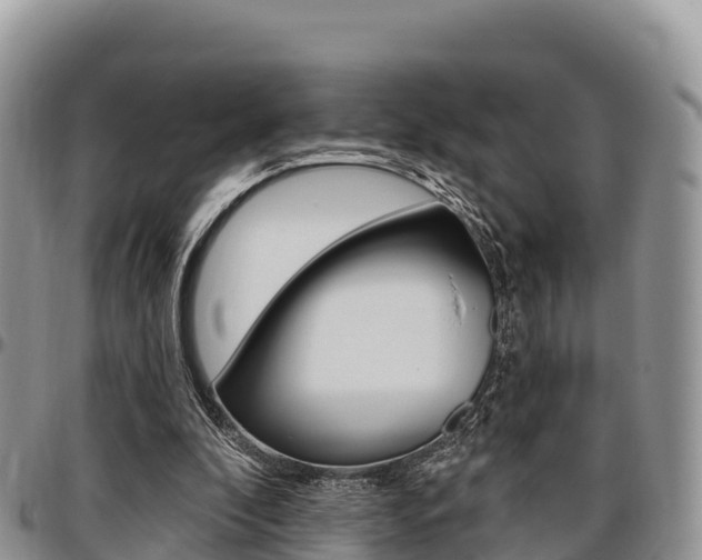 X0000097290296200802151105