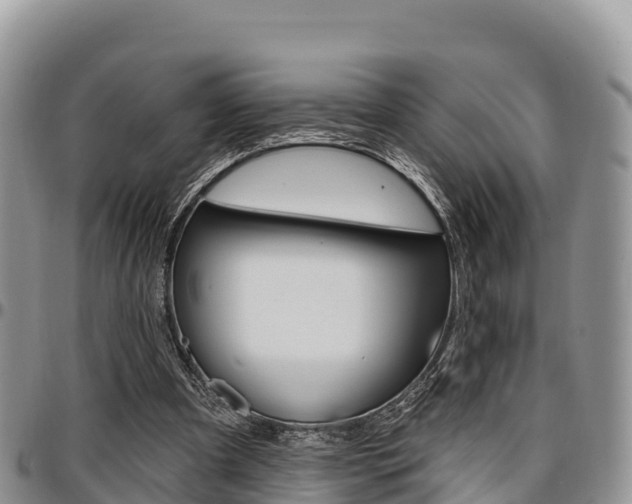X0000097290297200802151105