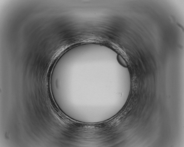 X0000097290298200802151105