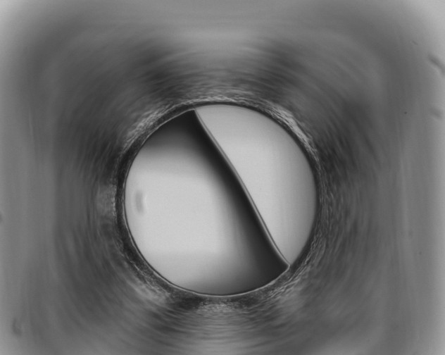 X0000097290299200802151105