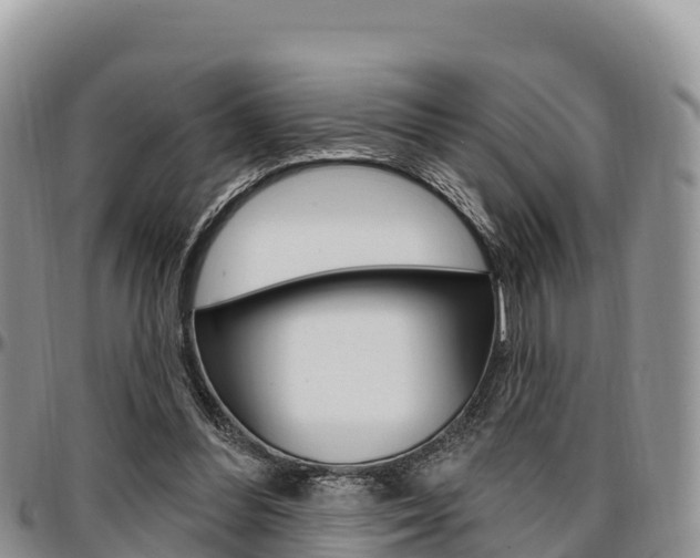 X0000097290300200802151105
