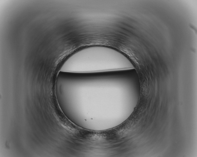 X0000097290303200802151105