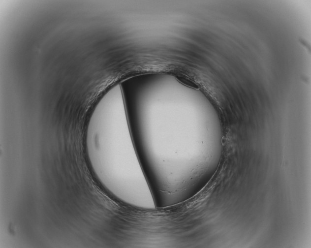 X0000097290305200802151105