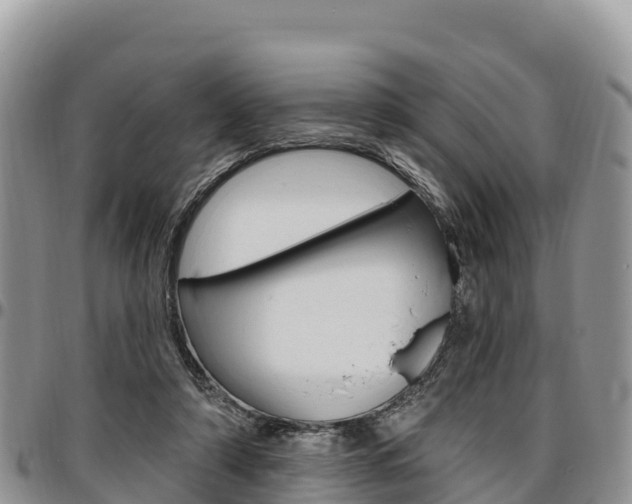 X0000097290306200802151105