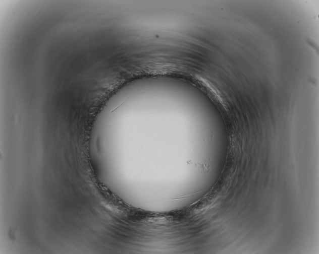 X0000097290307200802151105