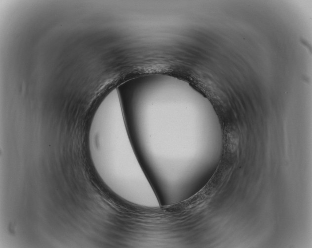 X0000097290308200802151105