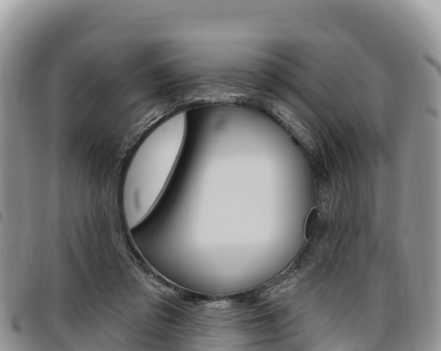 X0000097290309200802151105
