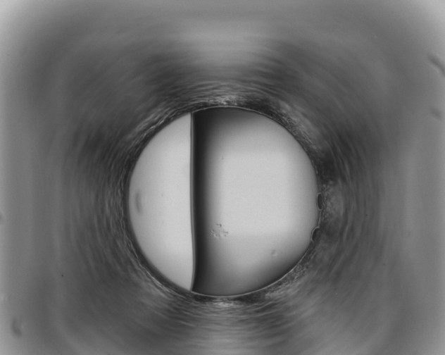 X0000097290313200802151105