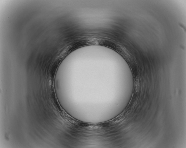 X0000097290314200802151105