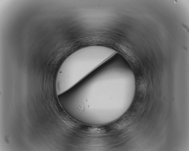 X0000097290315200802151105