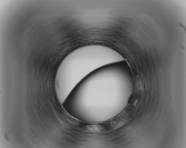 X0000097290316200802151105