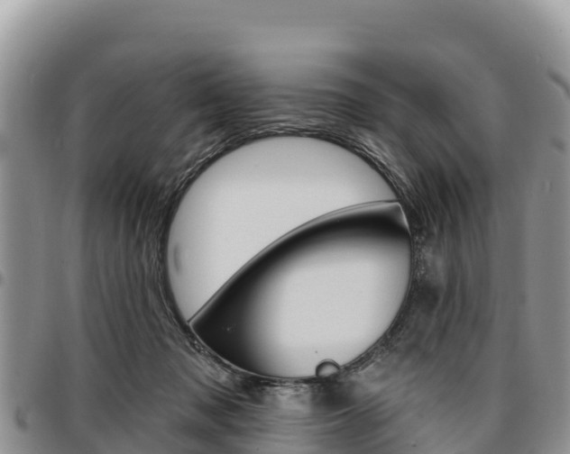 X0000097290317200802151105