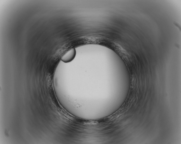 X0000097290318200802151105