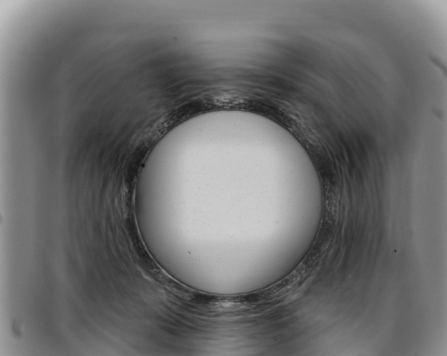 X0000097290319200802151105