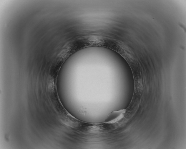 X0000097290320200802151105