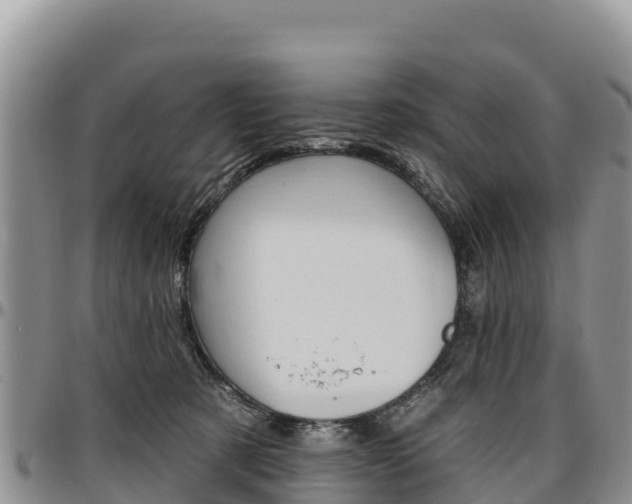 X0000097290321200802151104