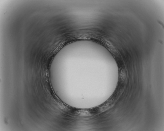 X0000097290322200802151104