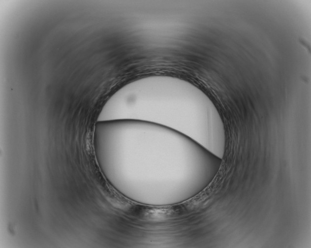 X0000097290323200802151104