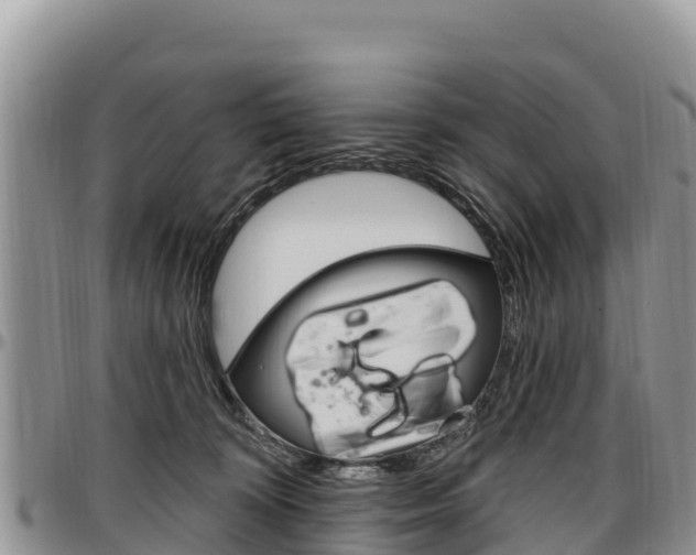 X0000097290324200802151104