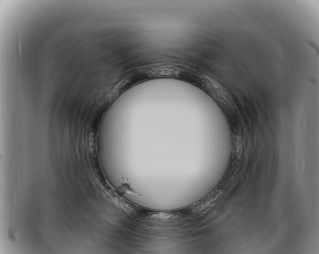 X0000097290326200802151104