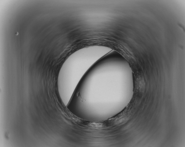 X0000097290328200802151104