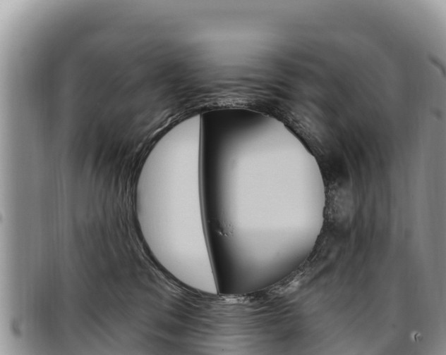 X0000097290329200802151104