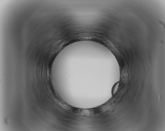 X0000097290330200802151104