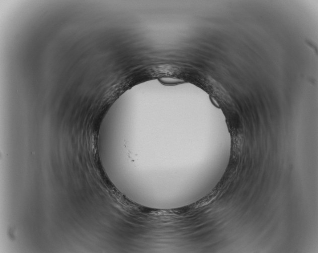 X0000097290331200802151104